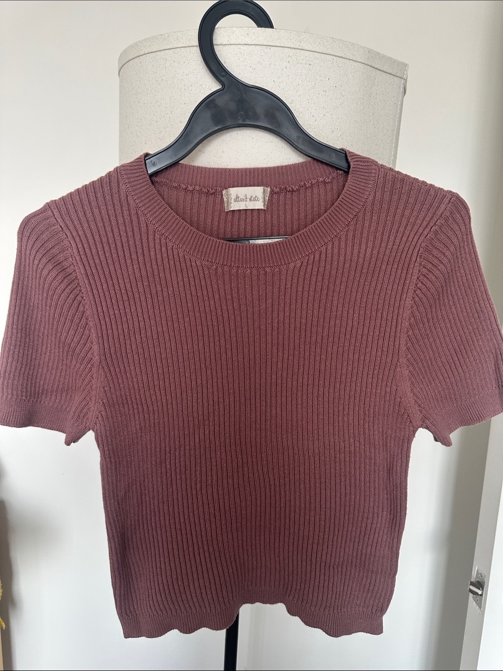 Altar’d State Dusty Rose Ribbed Short Sleeve Knit Top